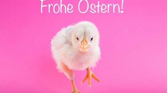 image-blog-3-1080x600